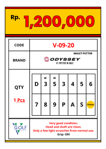 Pricelist Vgolf Stick Bekas (6)